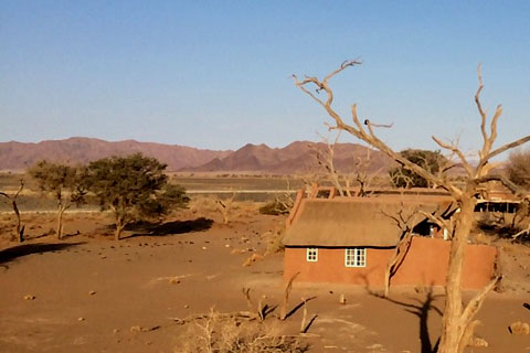 Views beyond Little Kulala Camp, a dead tree in the right foreground framing a desert coloured guest villa behid with a panoramic landscape view of the Namib desert beyond in the background.