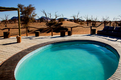 Views from the swimming pool area of Little Kulala Camp, a line of fossilised trees in the red Namib Desert sand..